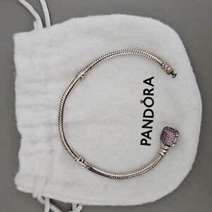 Pandora Charm Bracelet